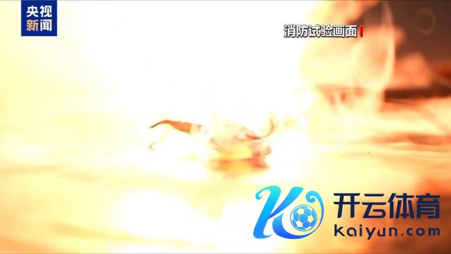 充电宝活气事件频发 安全隐患需警惕