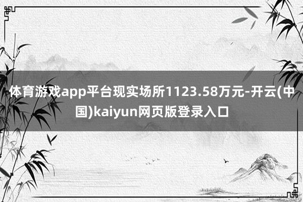 体育游戏app平台现实场所1123.58万元-开云(中国)kaiyun网页版登录入口