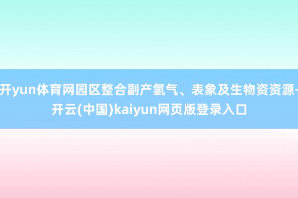 开yun体育网园区整合副产氢气、表象及生物资资源-开云(中国)kaiyun网页版登录入口