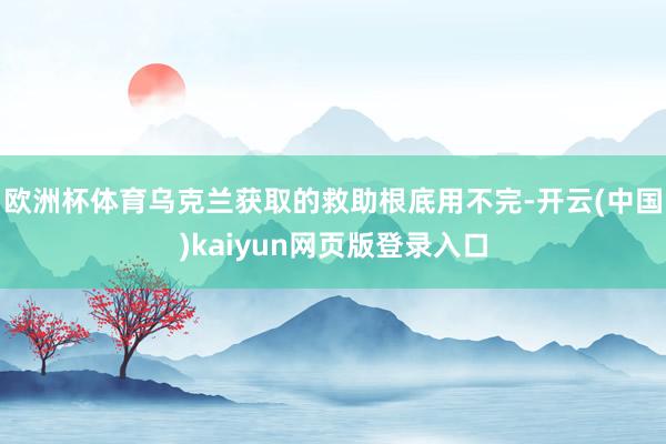 欧洲杯体育乌克兰获取的救助根底用不完-开云(中国)kaiyun网页版登录入口